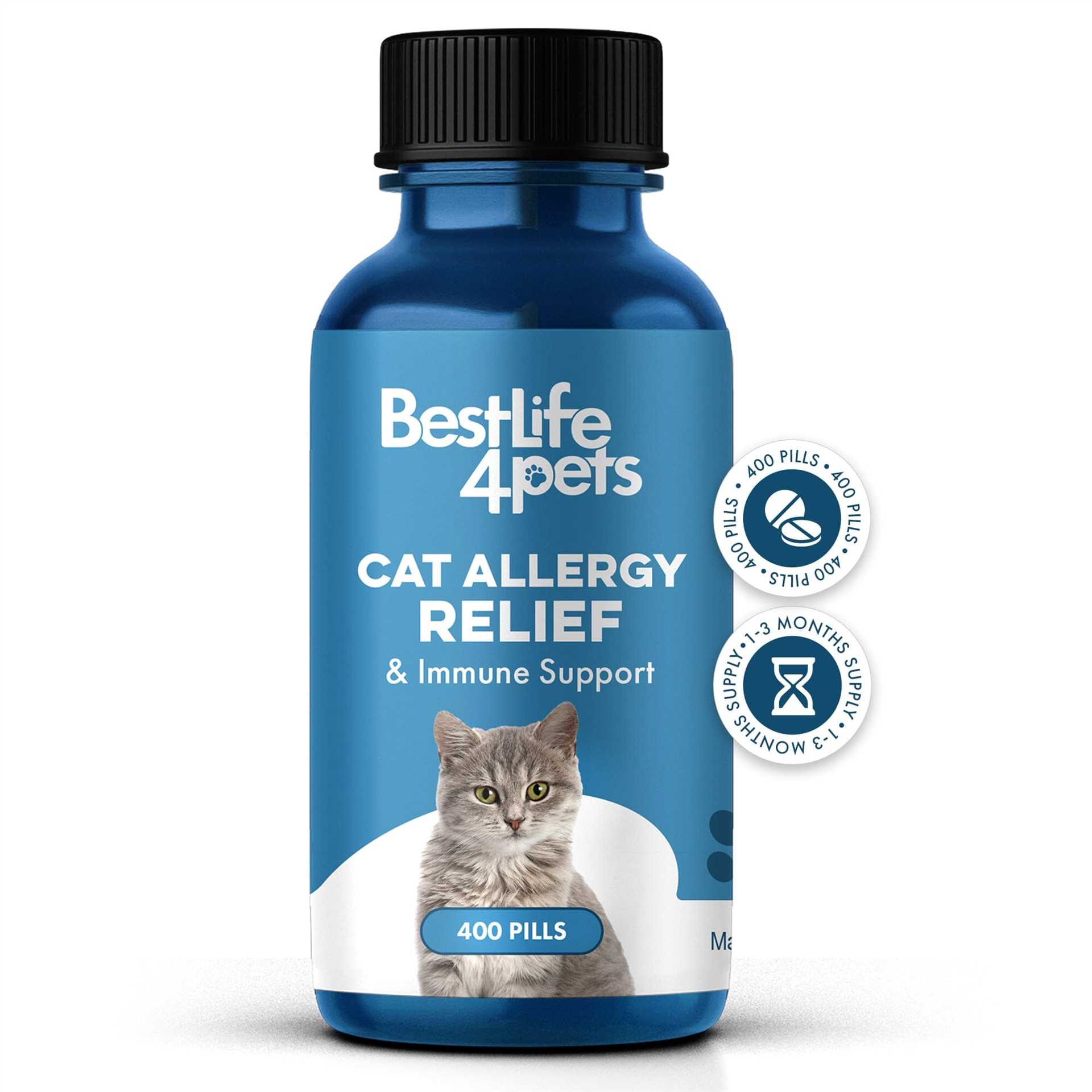 Preventive Measures to Avoid Congestion in Cats