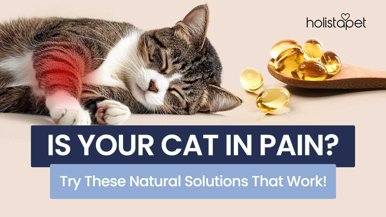 Recommended Options for Discomfort Relief