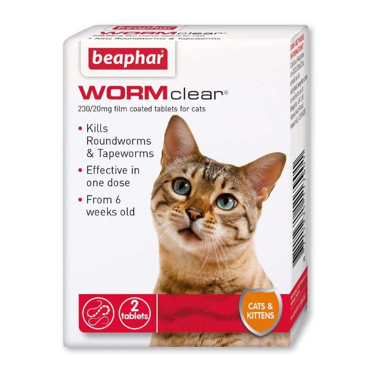 Recommended Treatment for Intestinal Parasites