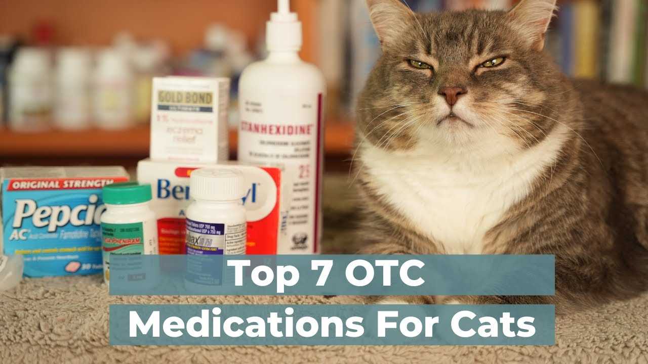 Dosage Guidelines for Feline Pain Relief