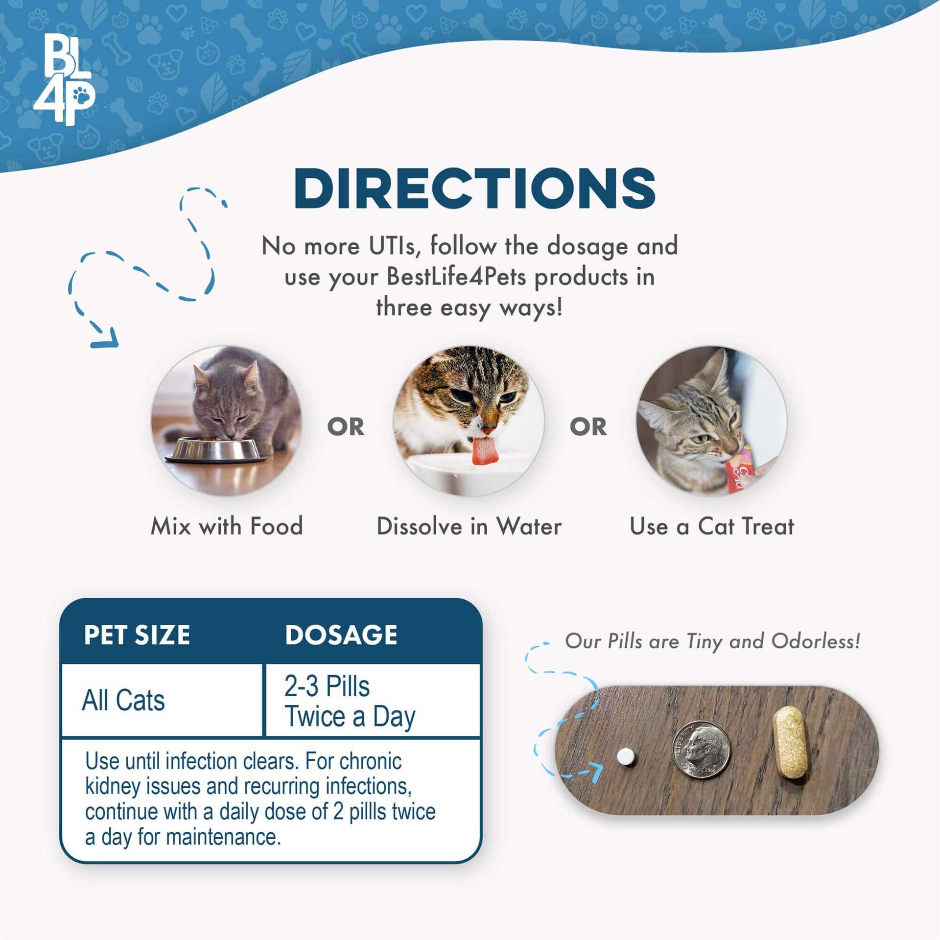 Recommendations for Feline Urinary Health