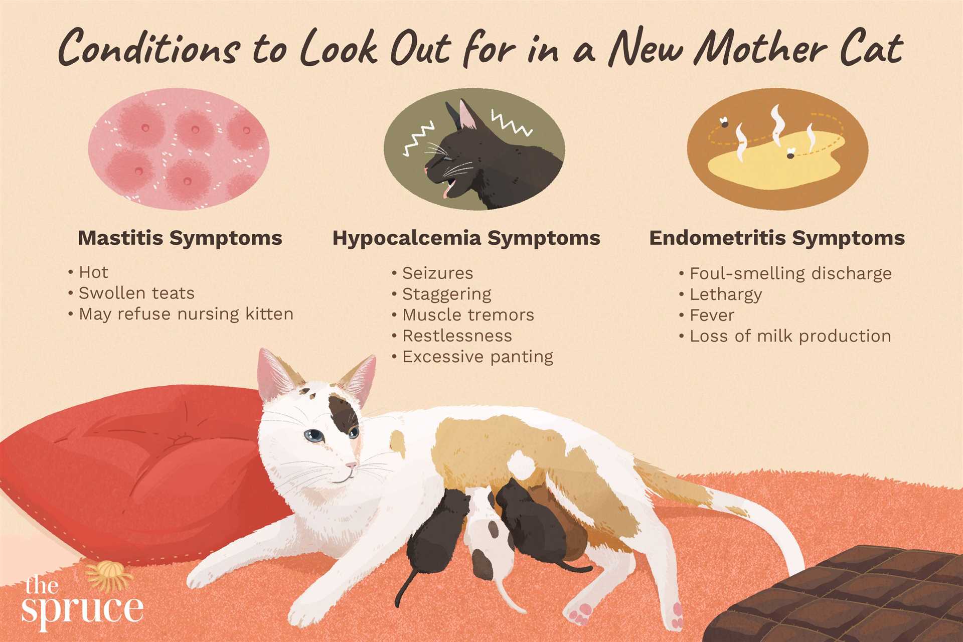 Timing for Bedding Refresh Post-Kittens