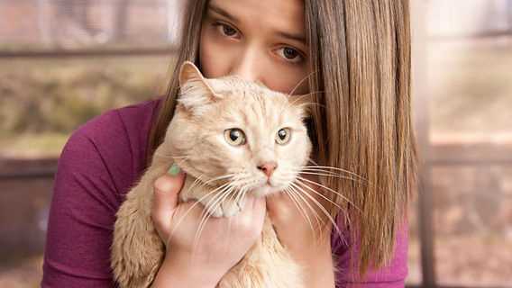 Timing for Administering the Calming Medication