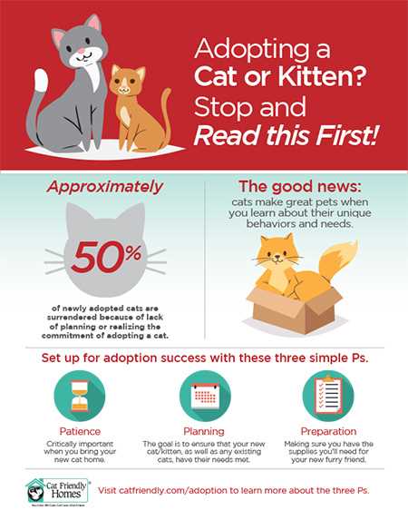 Local Animal Shelters