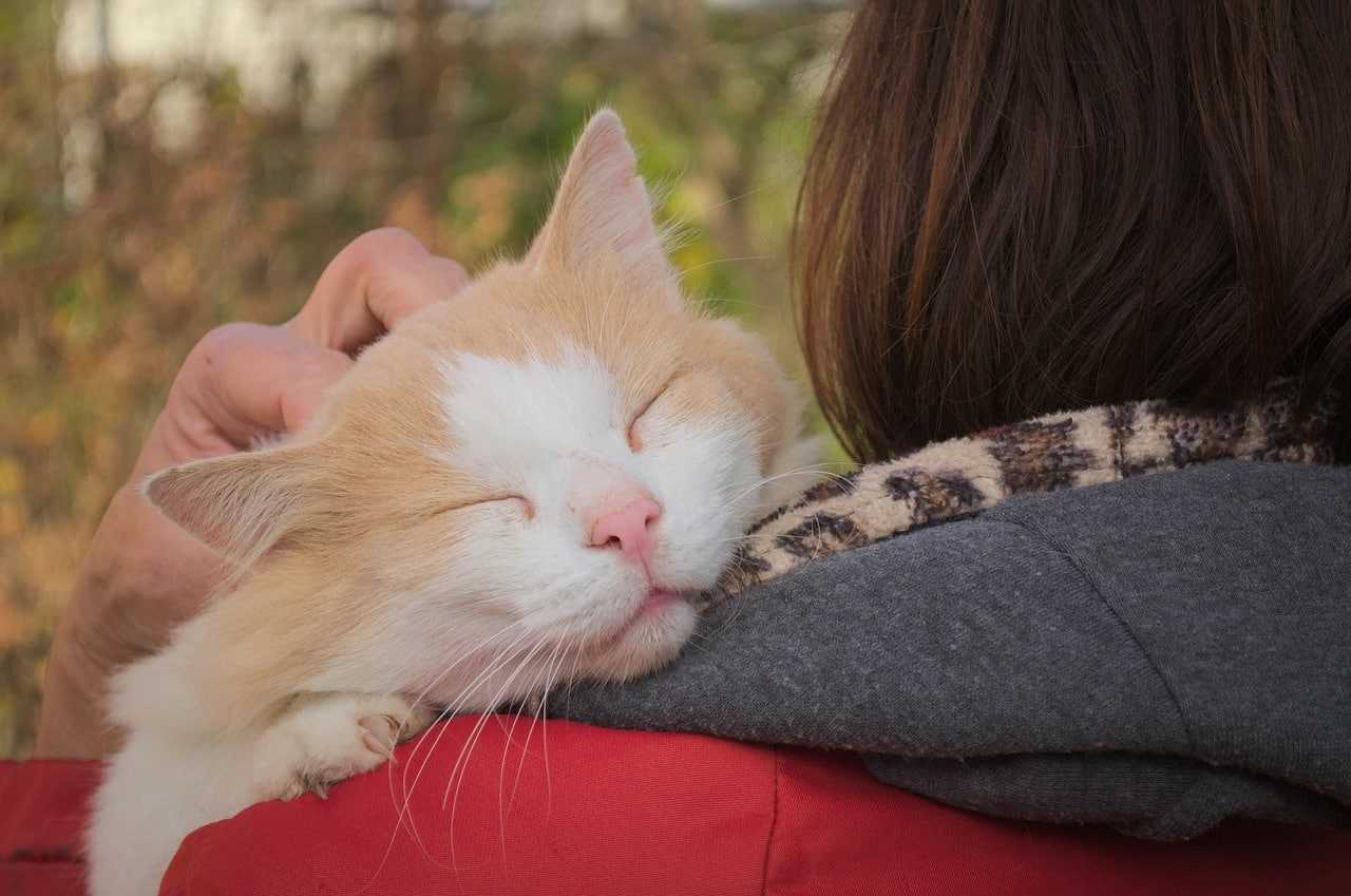 Why Do I Snuggle Up Close?