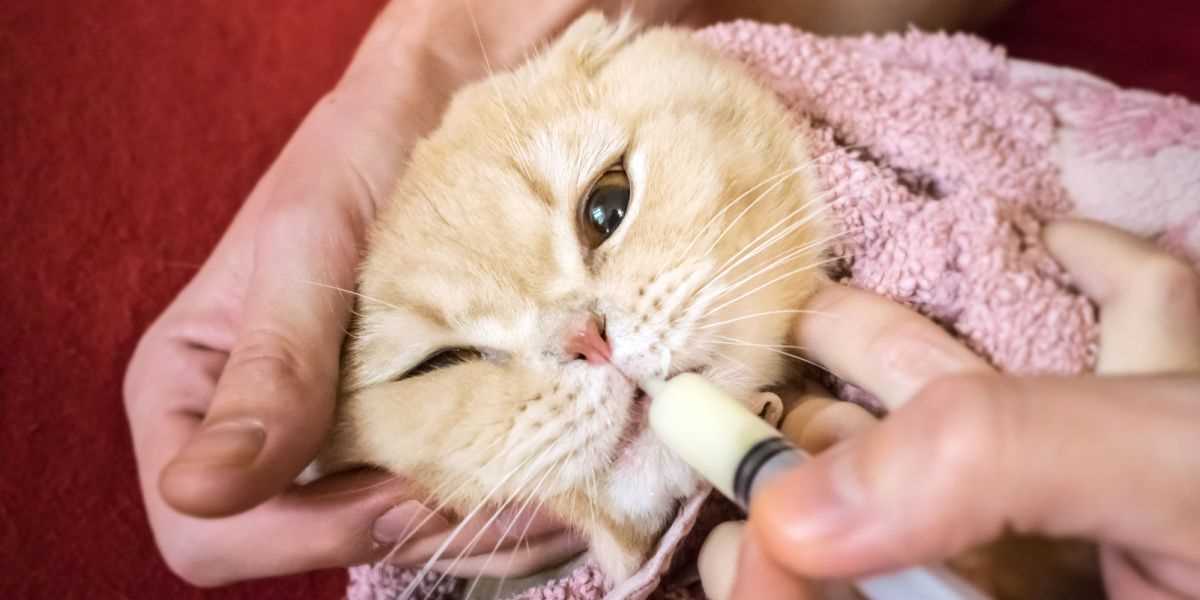 How to Administer Medicine to Minimize Foaming