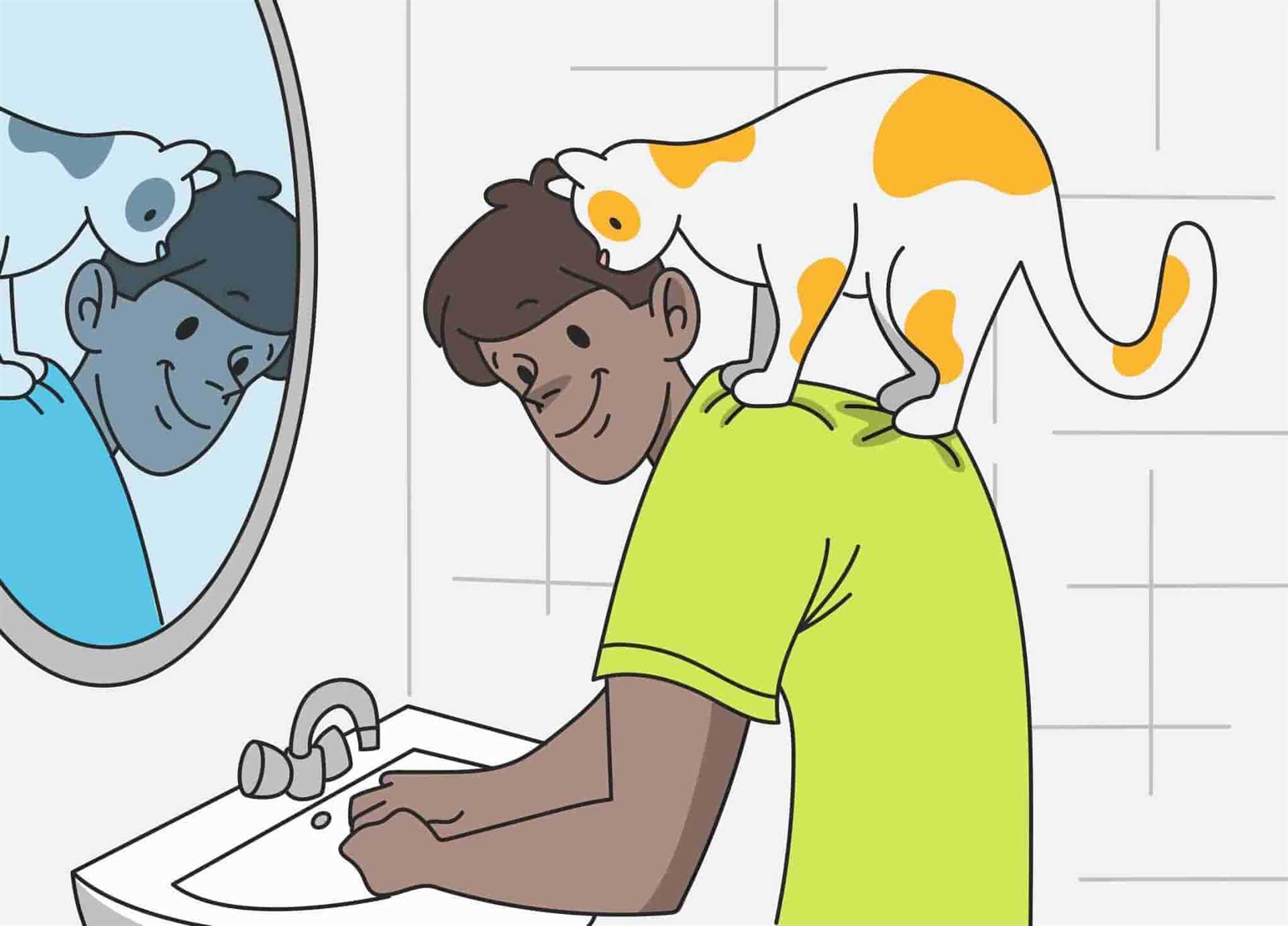 Understanding Your Feline's Behavior: Signs of Affection or Curiosity?