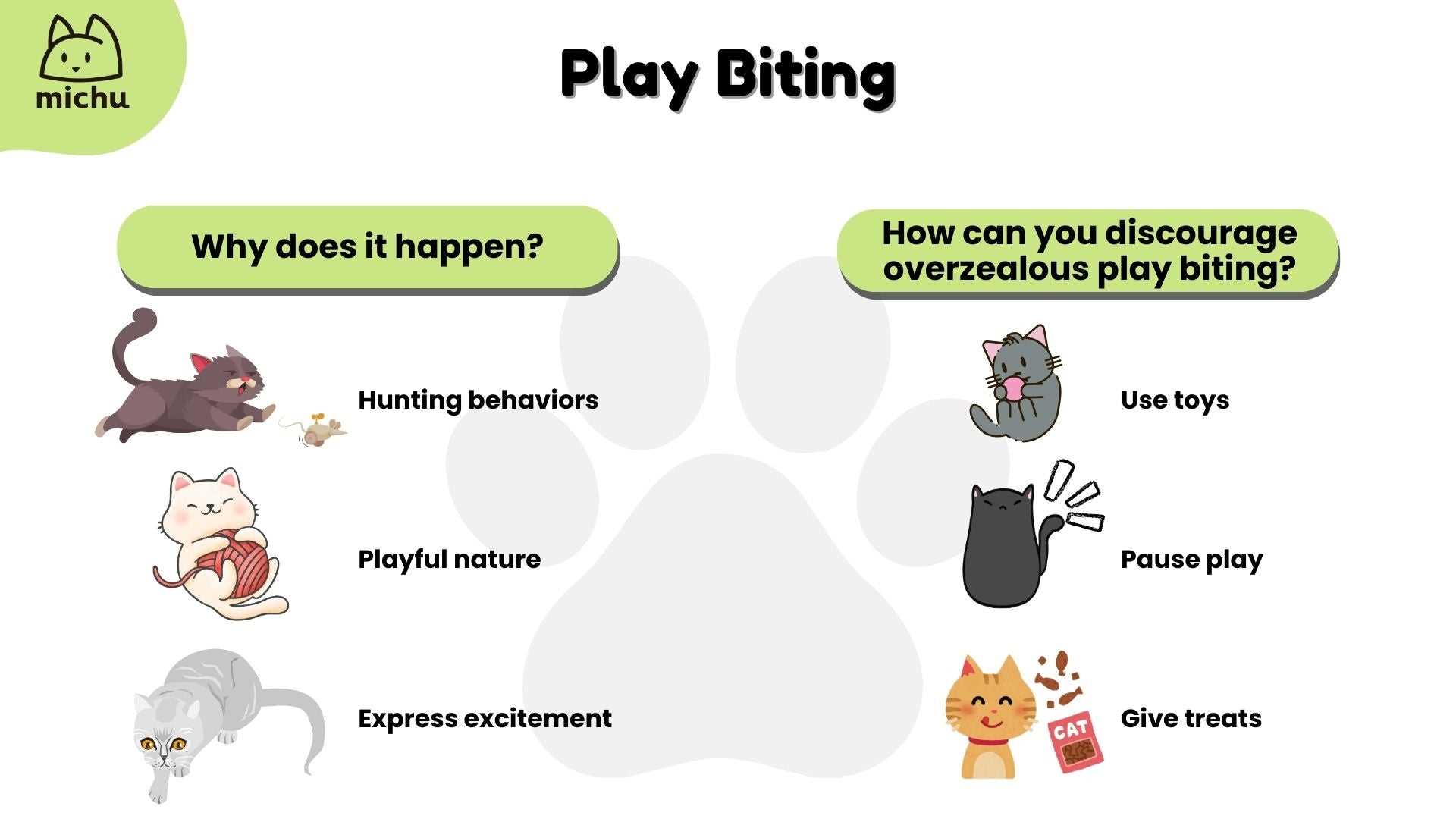 How to Respond to Your Cat's Gentle Bites