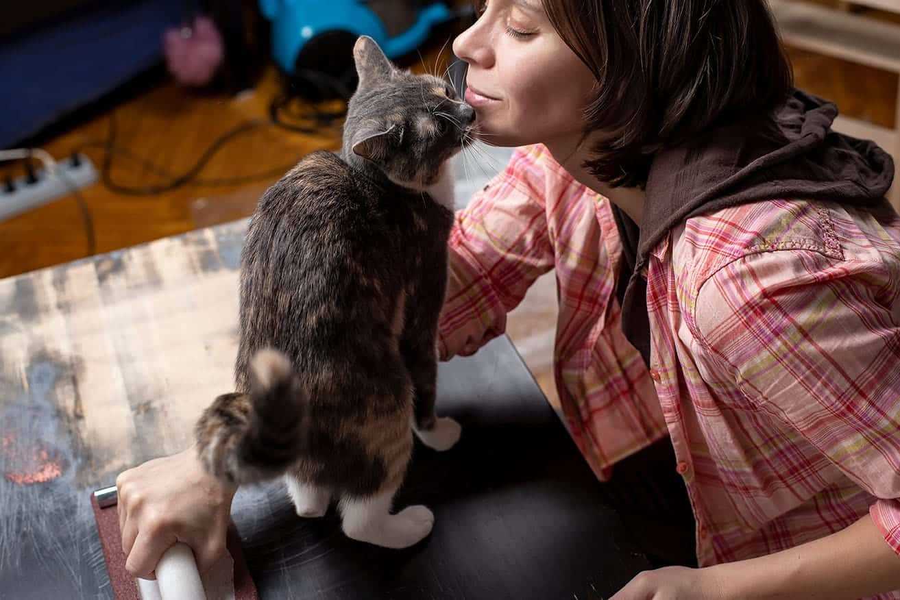 Understanding Feline Affection and Attention-Seeking Behavior
