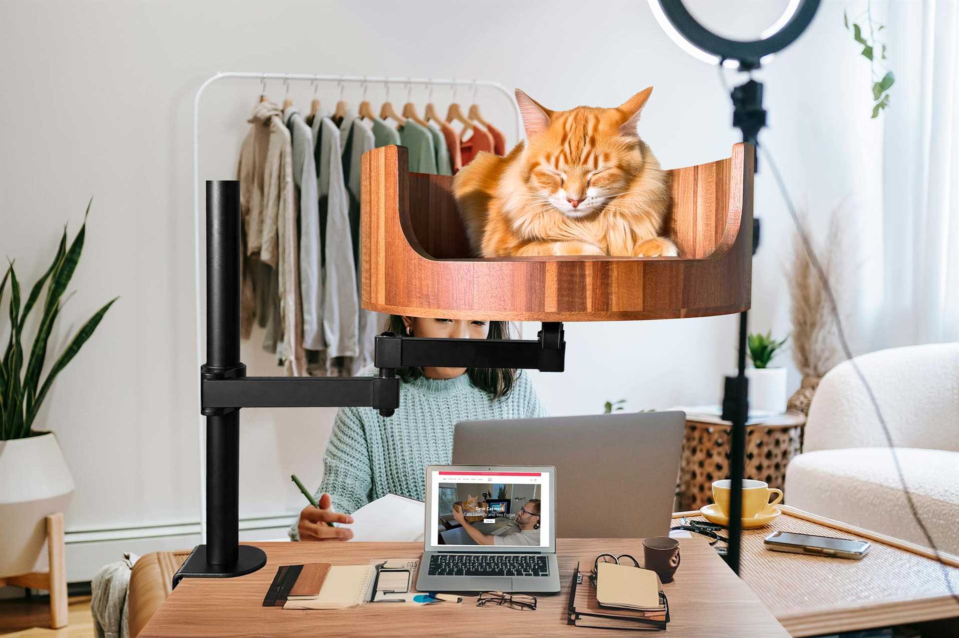 How to Safely Engage Your Cat with String Toys