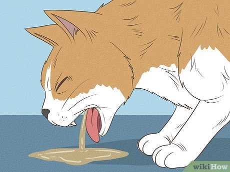 How Food Texture Influences Head Movement