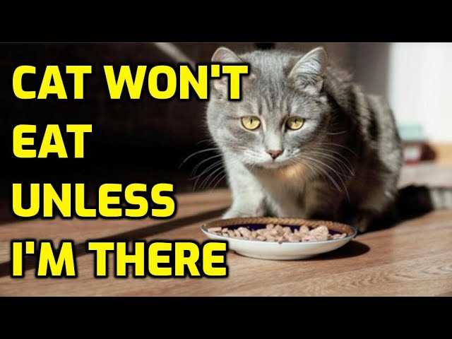 Social Feeding Behaviors