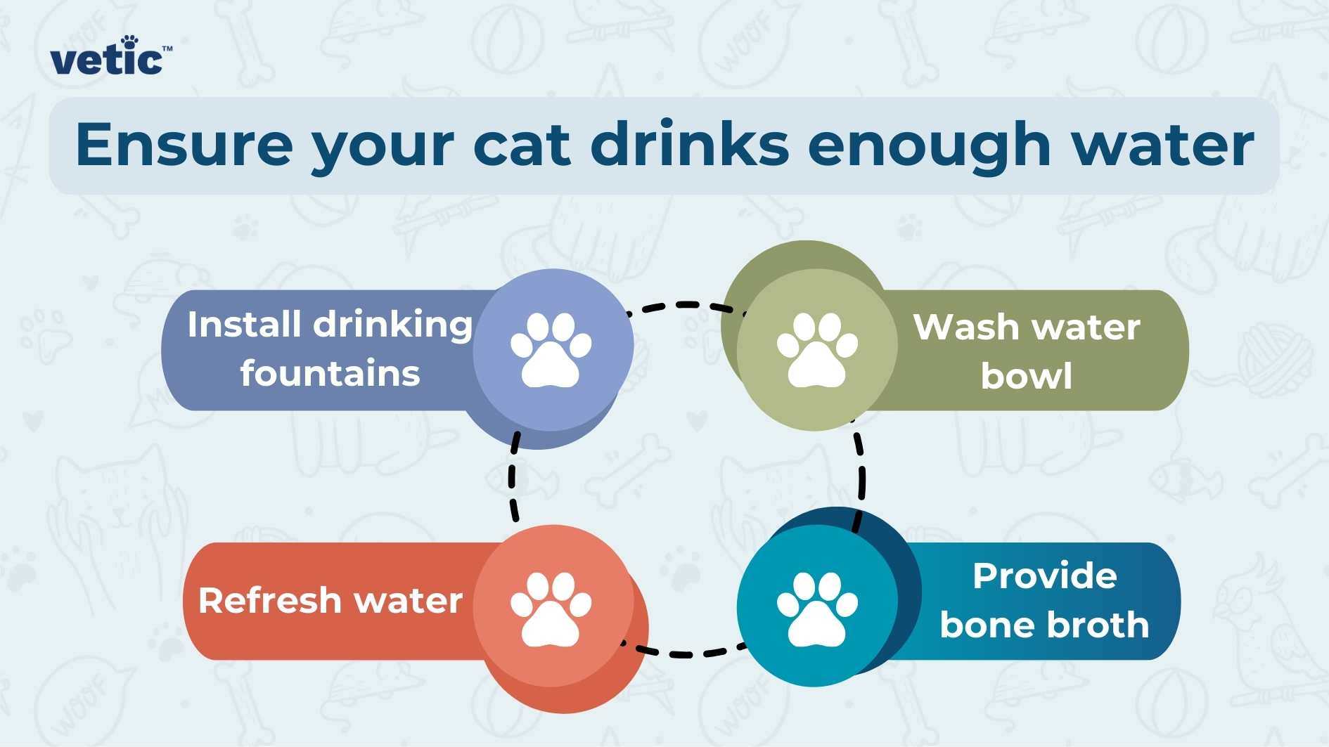 Understanding Reduced Appetite and Thirst in Felines