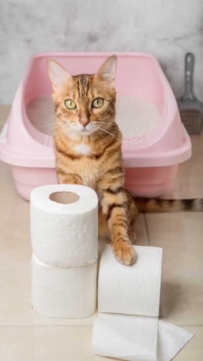 Environmental Factors That Encourage Paper Consumption