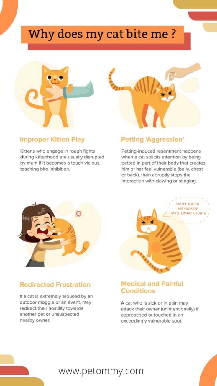 Identifying Aggression