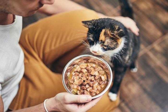 How Watching Affects Eating Patterns