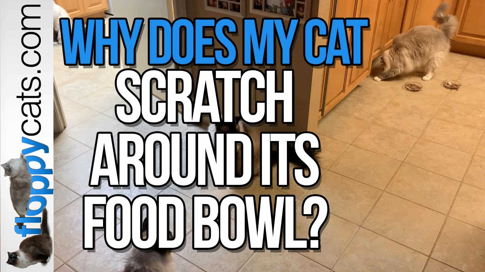 Feeding Habits That May Trigger Scraping