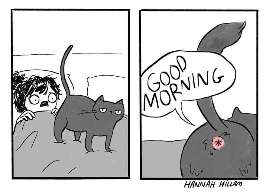 The Role of Scent Marking in Feline Communication