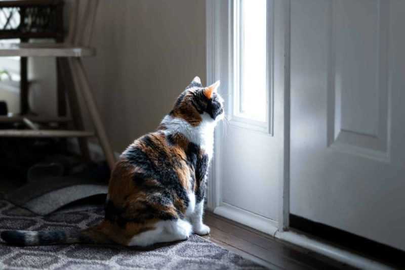 The Influence of Routine and Anticipation