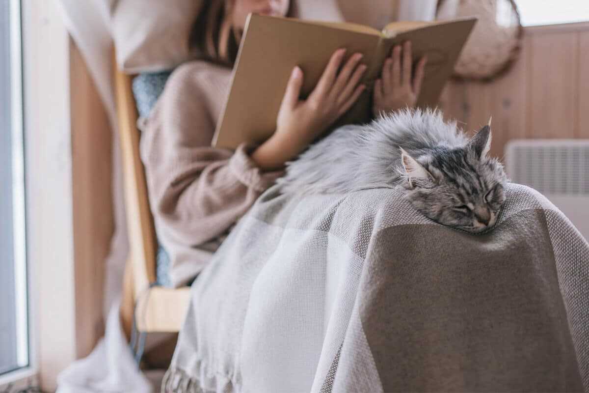 Creating a Comfortable Sleep Environment