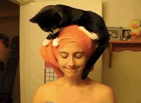 Maintain Cleanliness