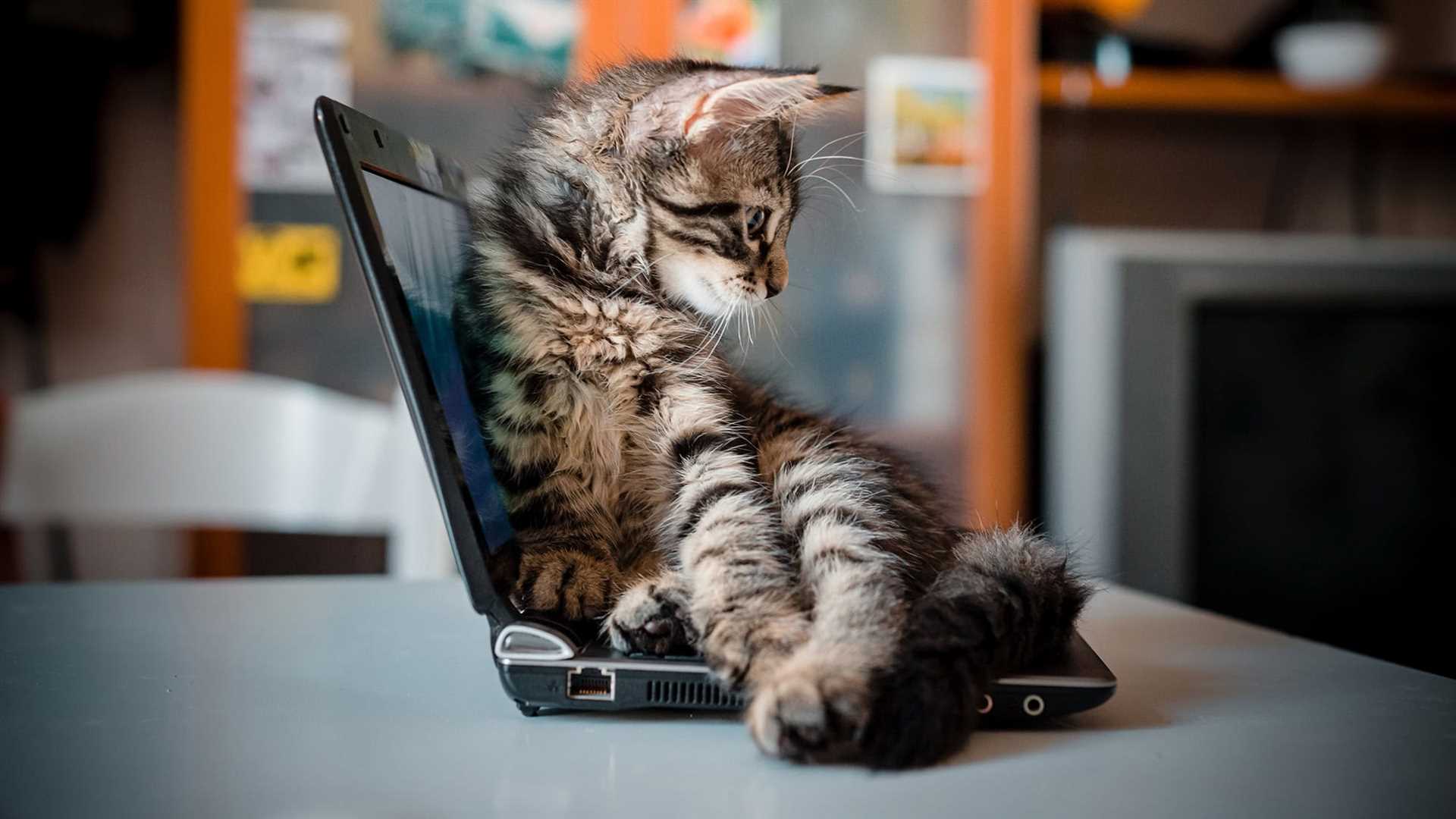 Scheduled Playtime