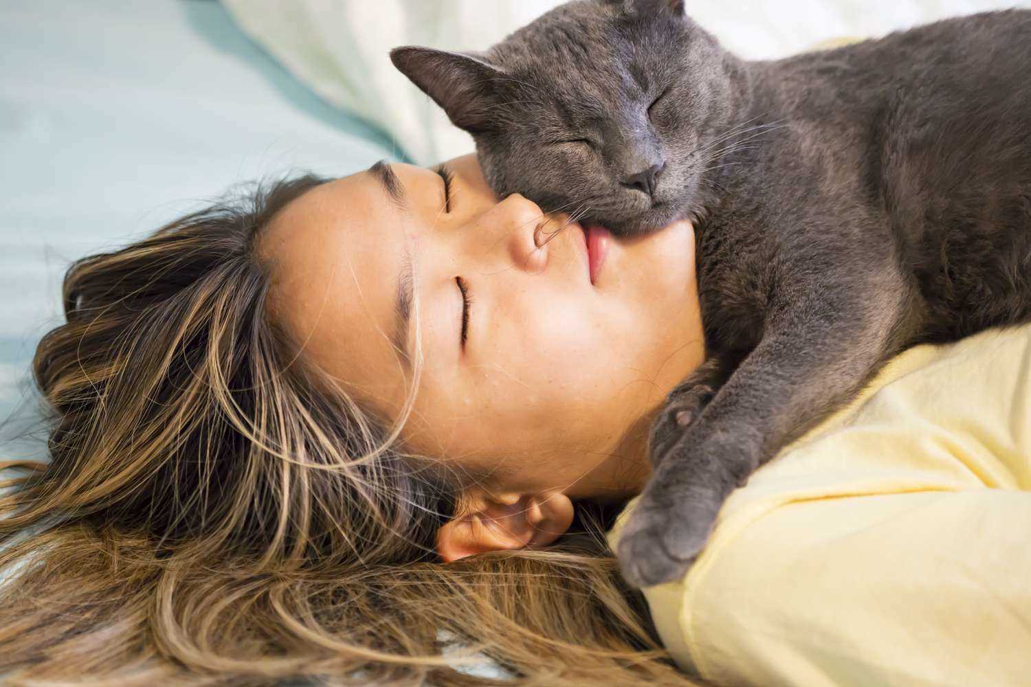 The Role of Warmth and Comfort in Feline Behavior