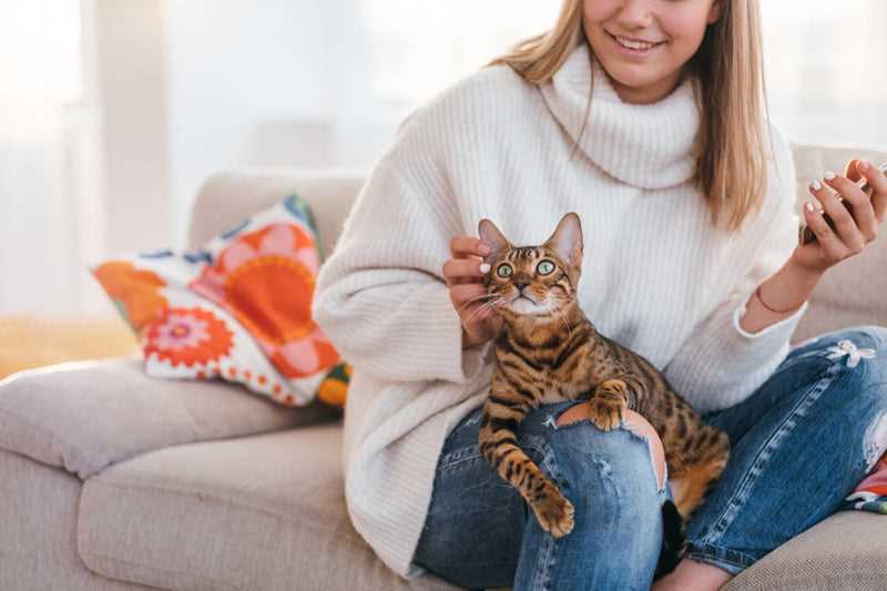 How to Respond to Your Cat's Positioning