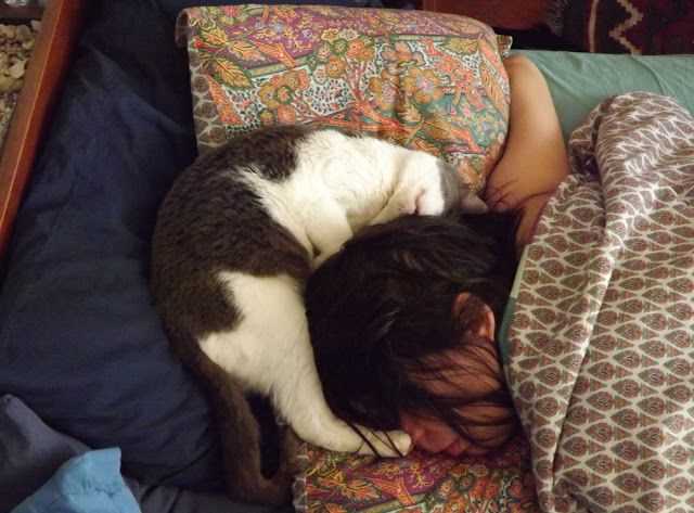 Affectionate Bonds