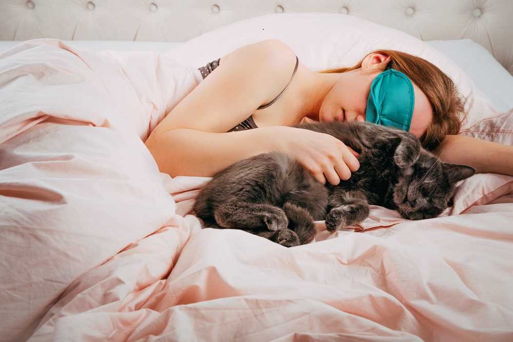 How to Encourage Positive Sleeping Habits with Your Feline Friend