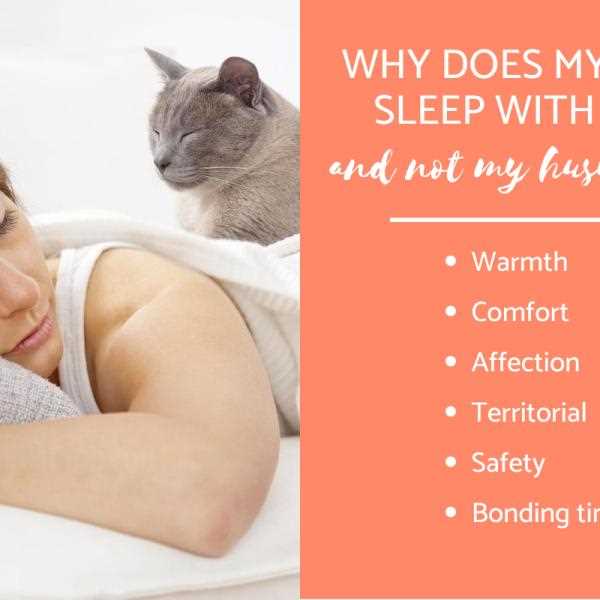 Understanding Feline Affection and Bonding
