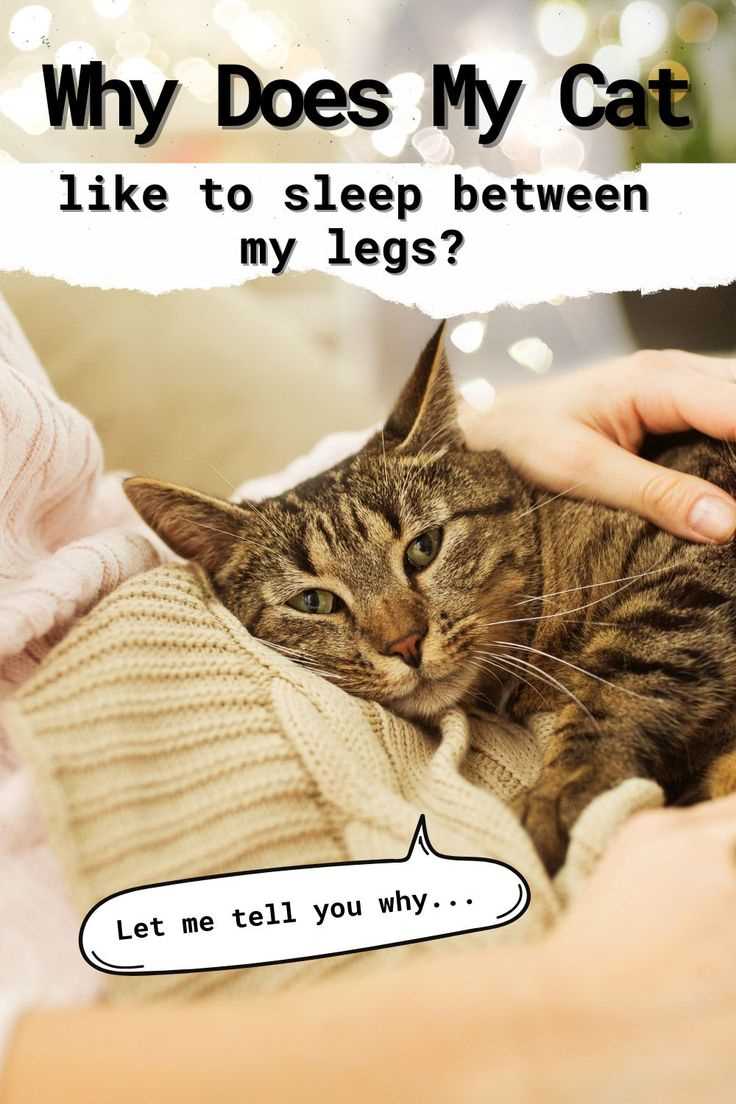Observing Body Language