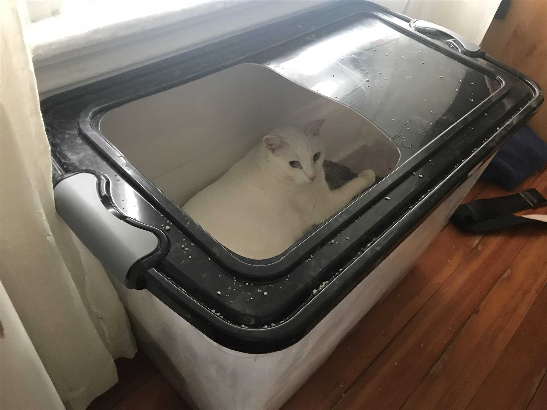 Enhancing the New Sleeping Area