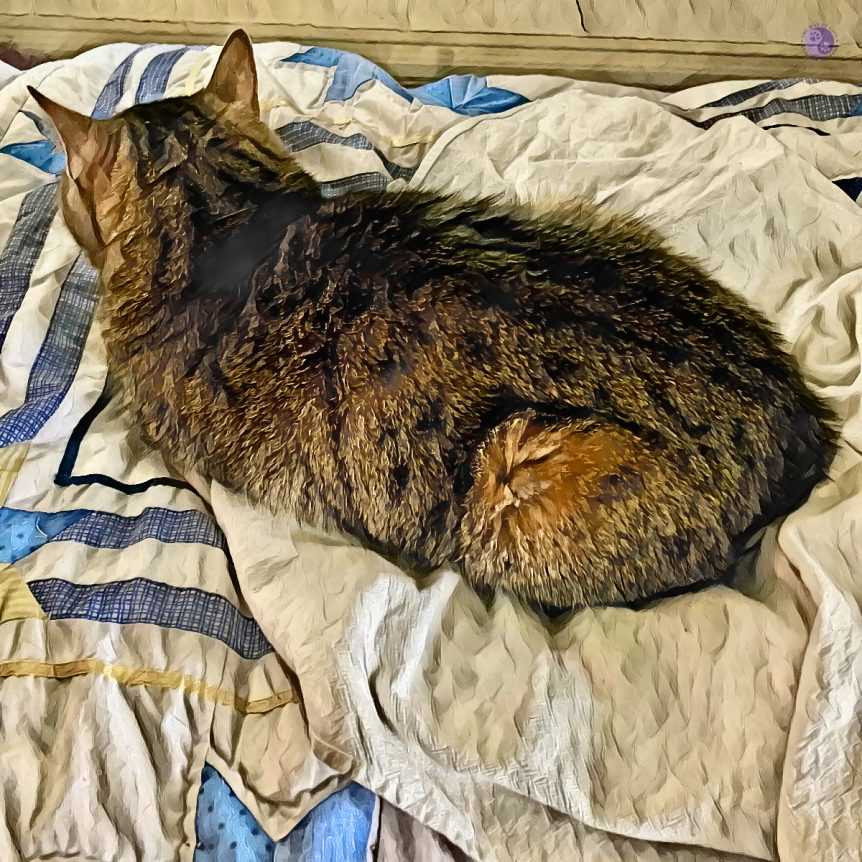 Why I Choose to Lounge in a Supine Position
