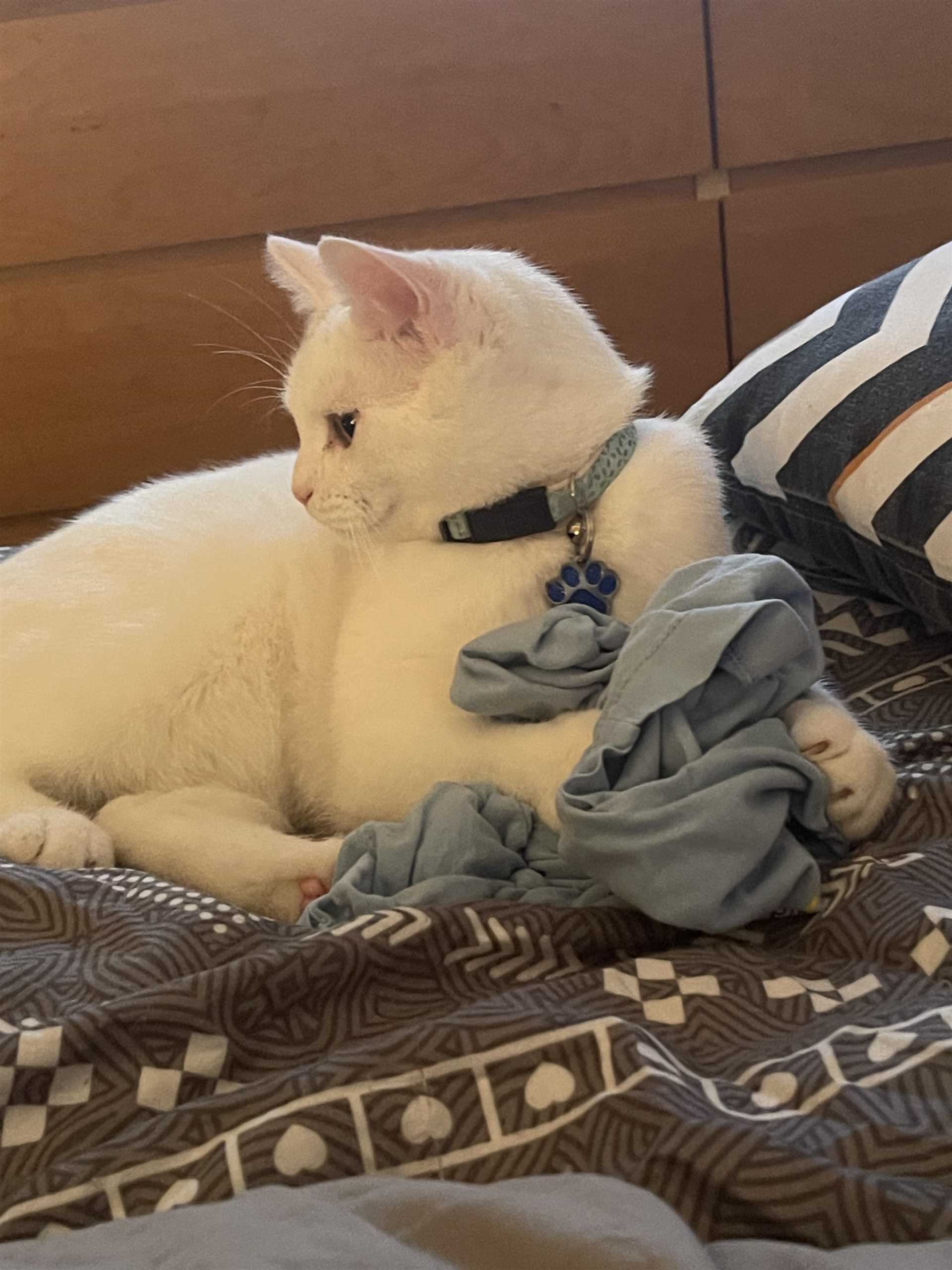 Preference for Familiar Scents