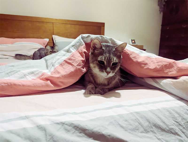 Creating a Safe and Comfortable Sleeping Environment
