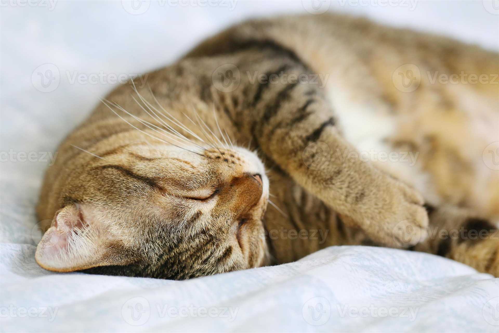 Physical Benefits of an Inverted Resting Position