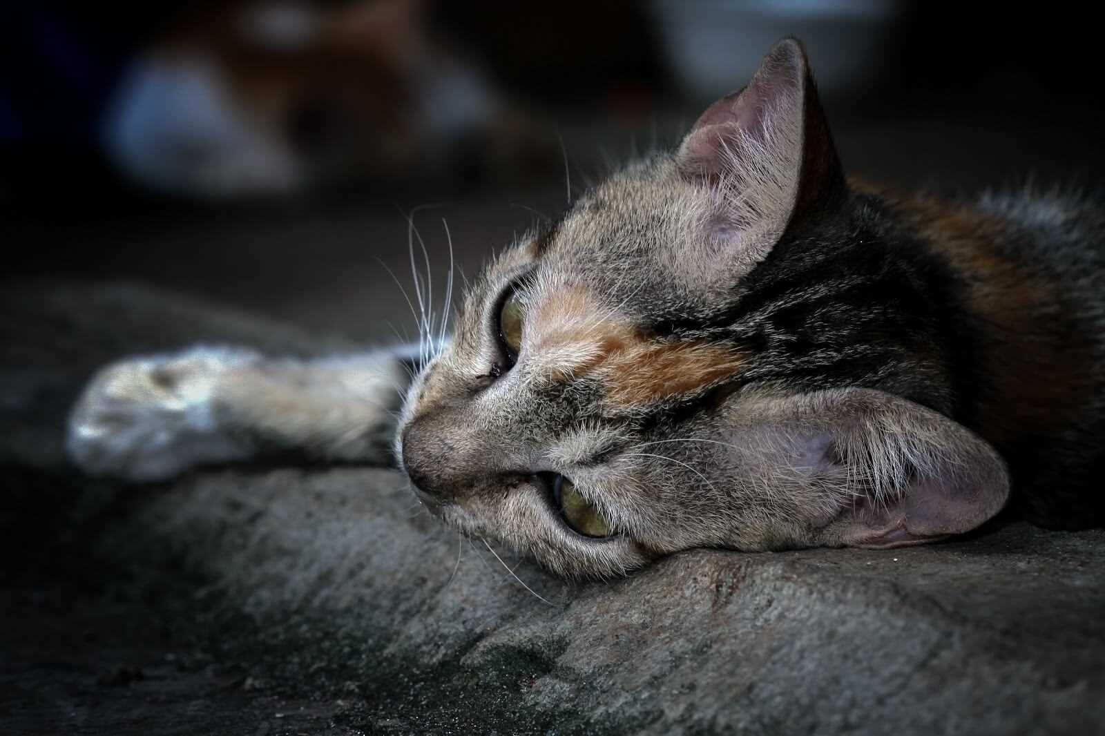 Relaxation and Comfort