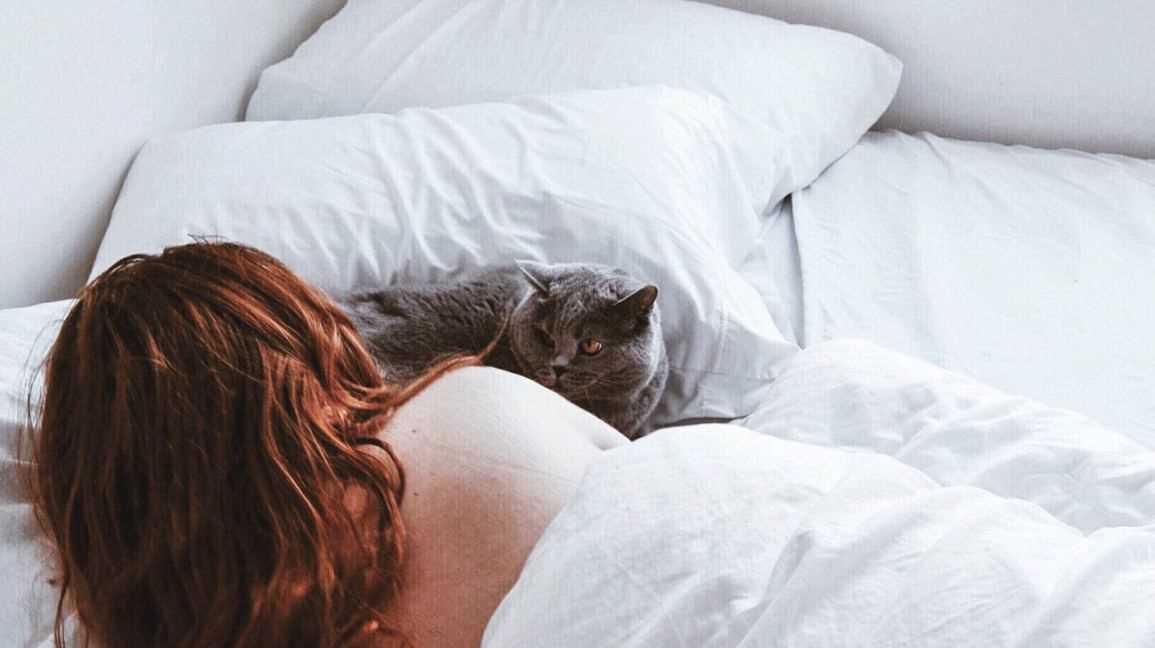 Tips for Enhancing Sleep Quality for You and Your Feline Friend