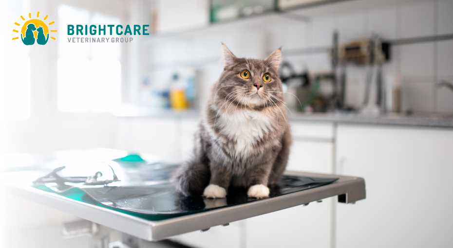 Potential Causes Requiring Intervention