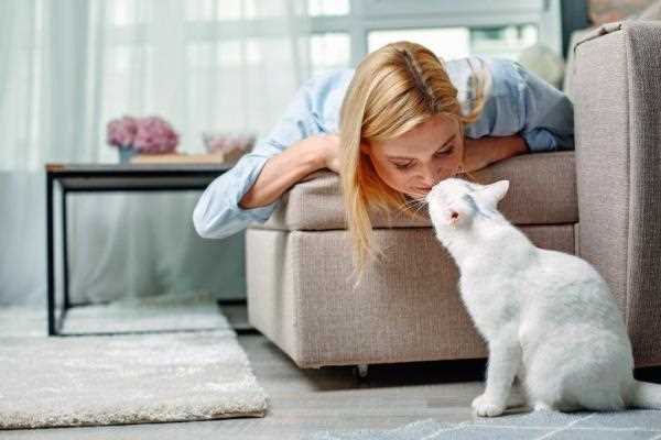 Interpreting Your Feline's Behavior and Body Language