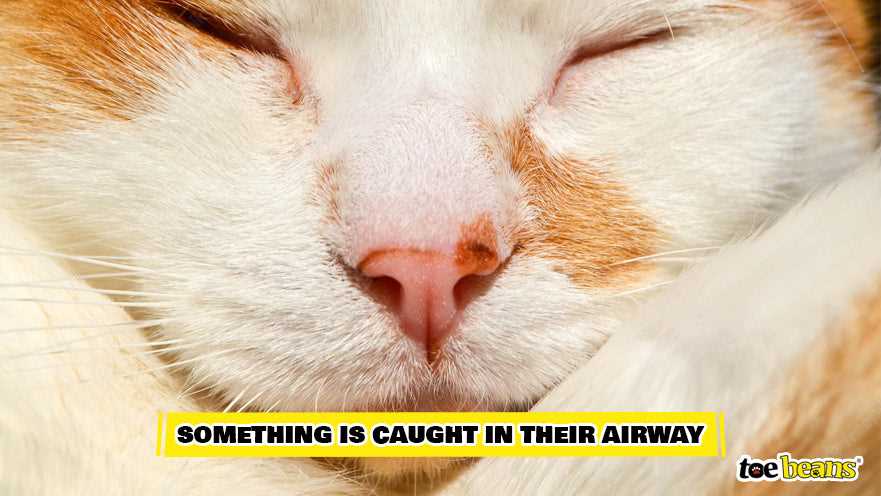 Recognizing Urgent Symptoms