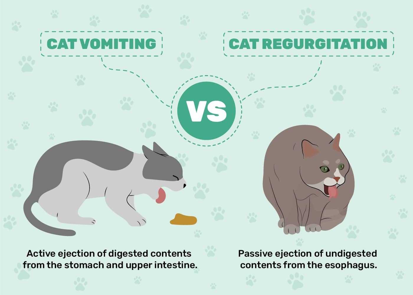 Preventive Measures to Reduce Vomiting
