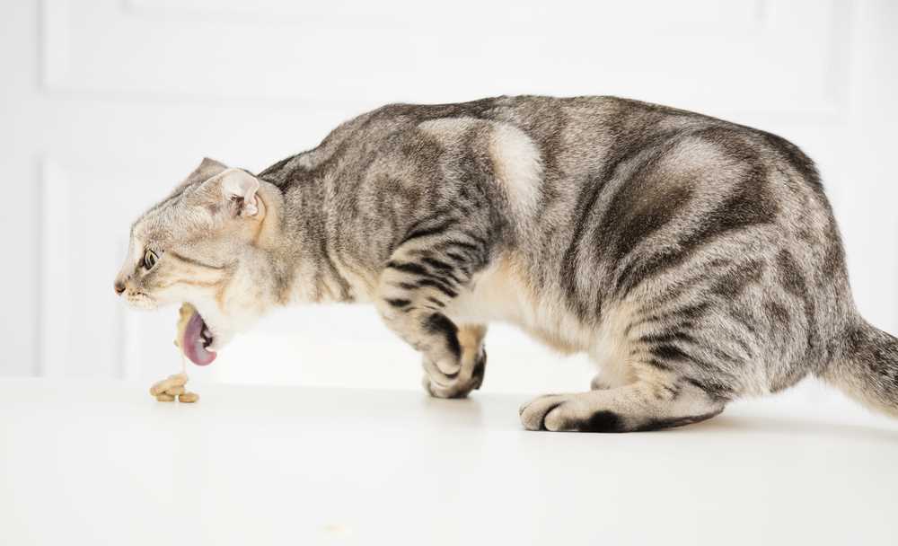 Monitoring Eating Habits