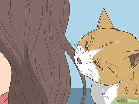 The Role of Scent in Cat Behavior
