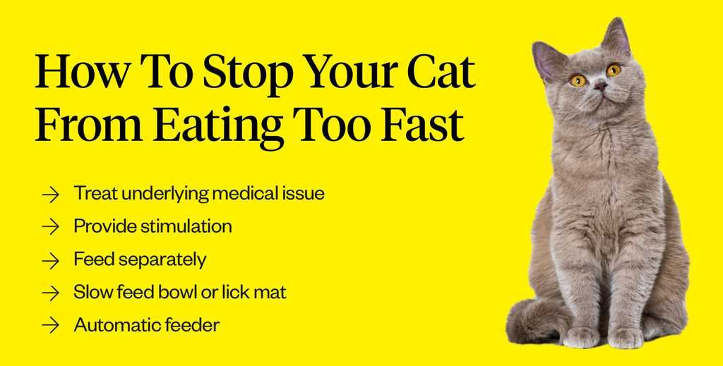Health Issues to Consider