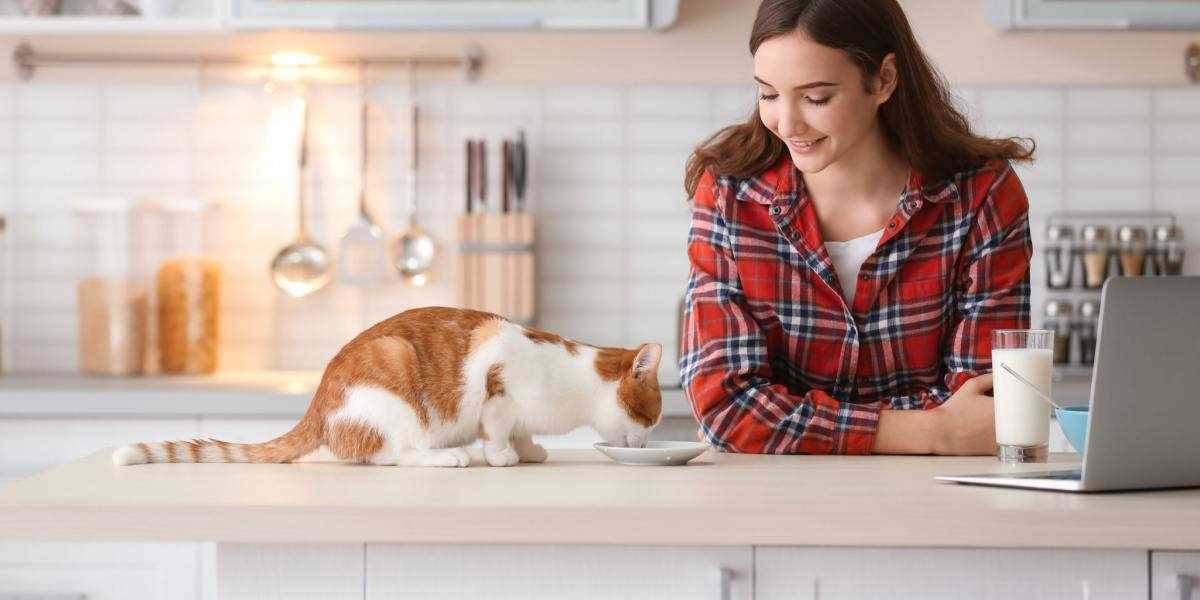 Potential Health Issues Related to Eating Behavior