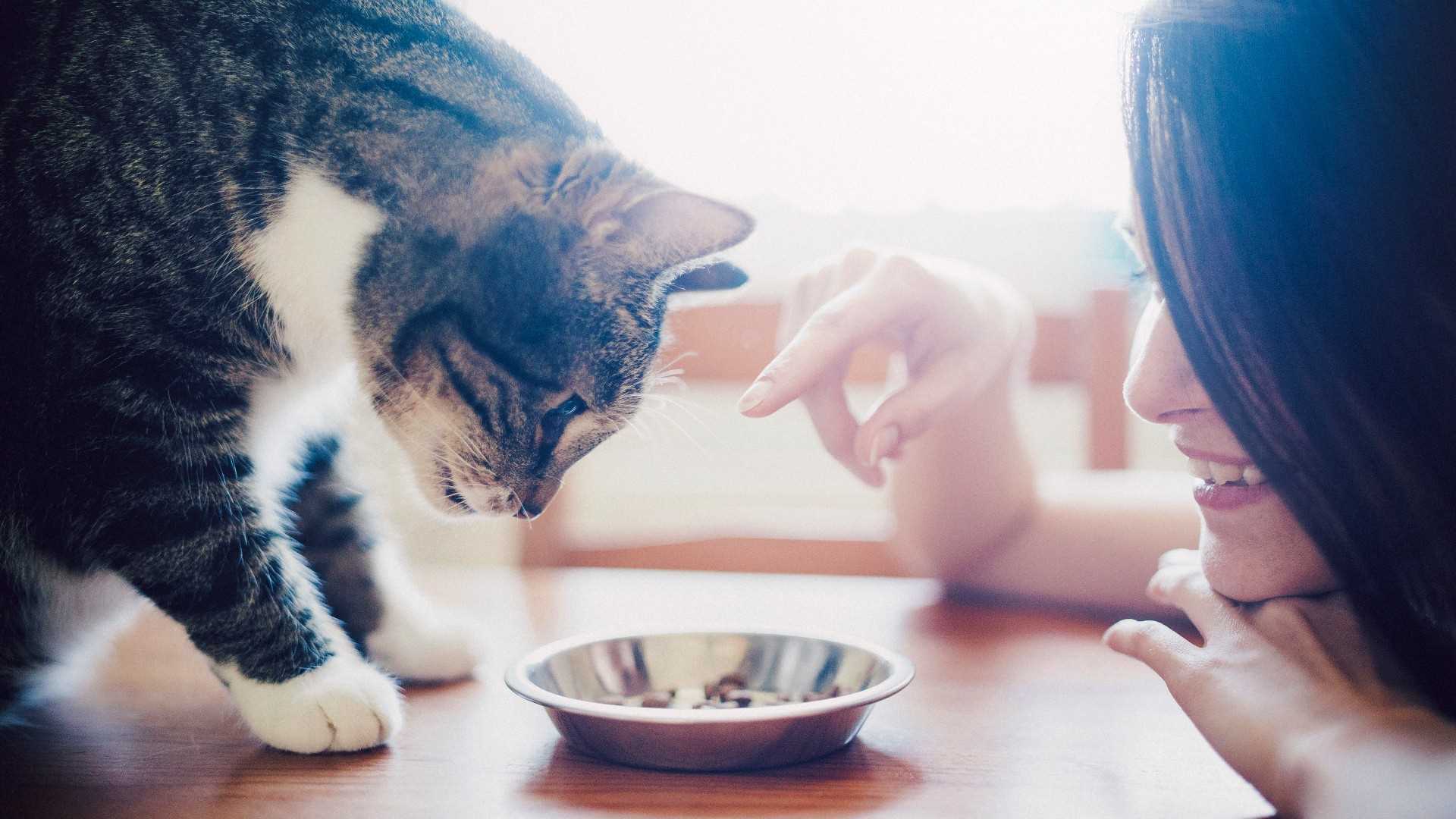 Encouragement through Interaction
