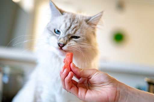 Behavioral Factors Leading to Litter Consumption