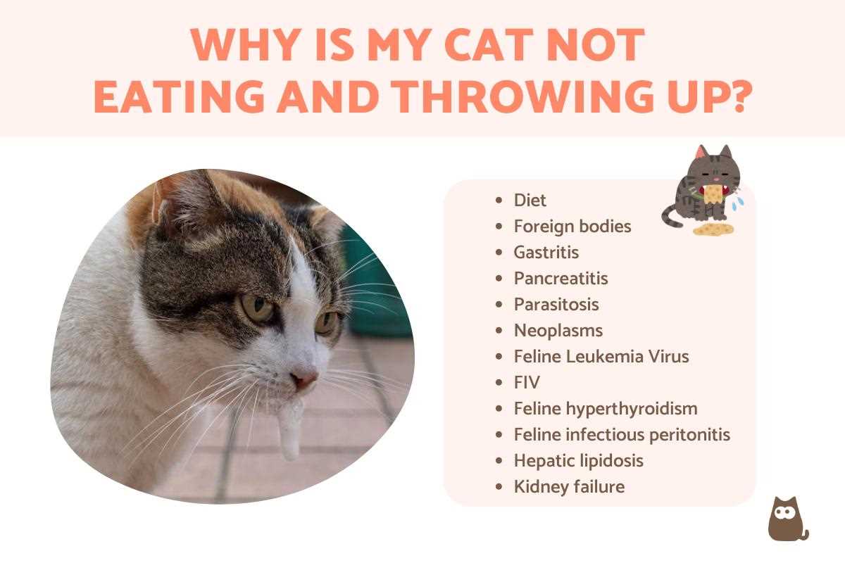 Signs of a Serious Health Issue